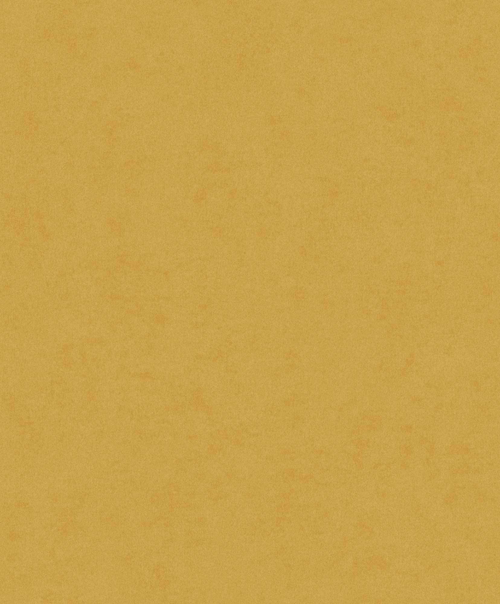 Hooked on Walls Passe Partout 2024 Plain 89788