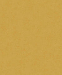 Hooked on Walls Passe Partout 2024 Plain 89788