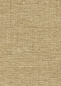 Hooked on Walls Passe Partout 2024 Paille 89793