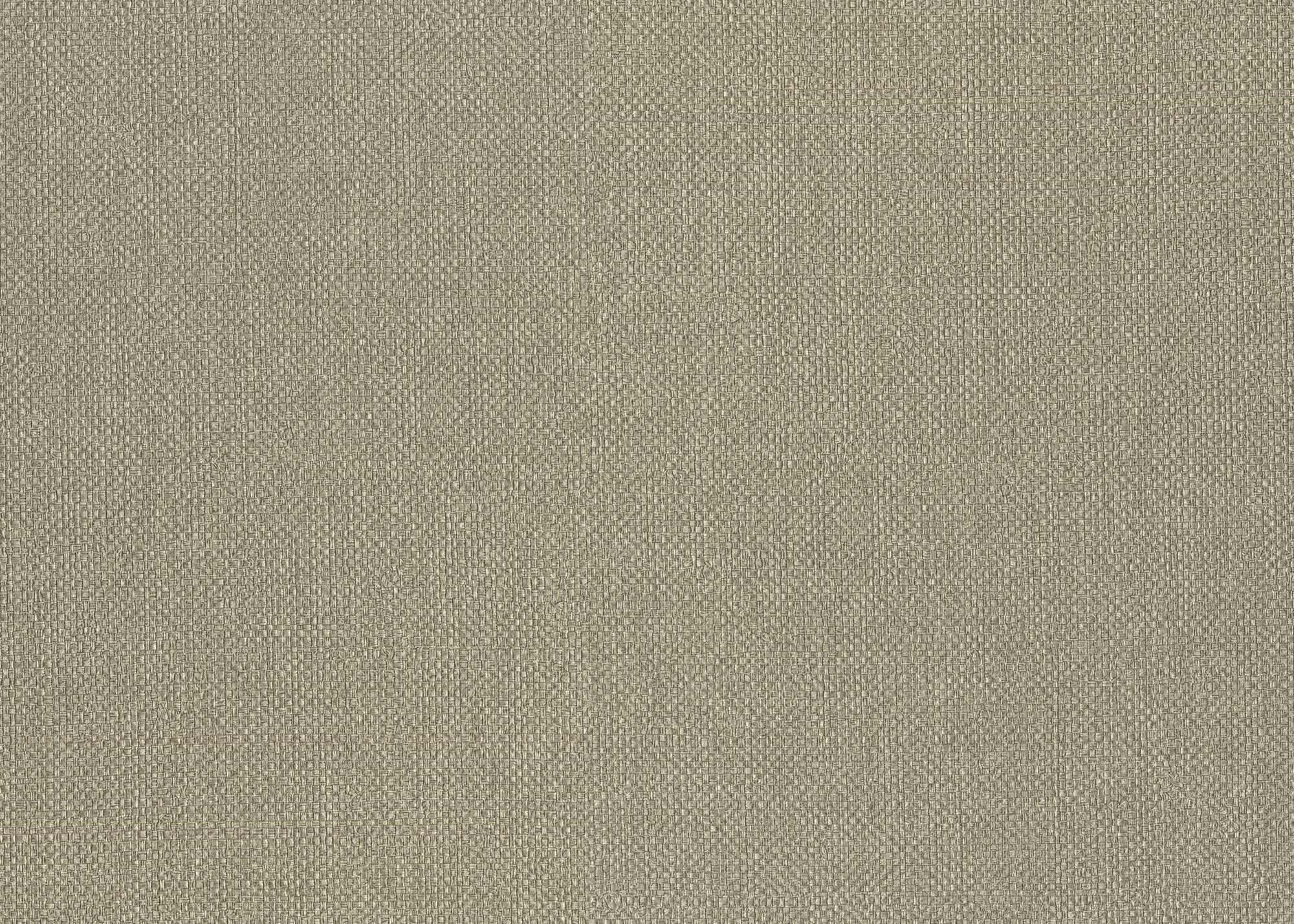 Hooked on Walls Passe Partout 2024 Baobab 89797