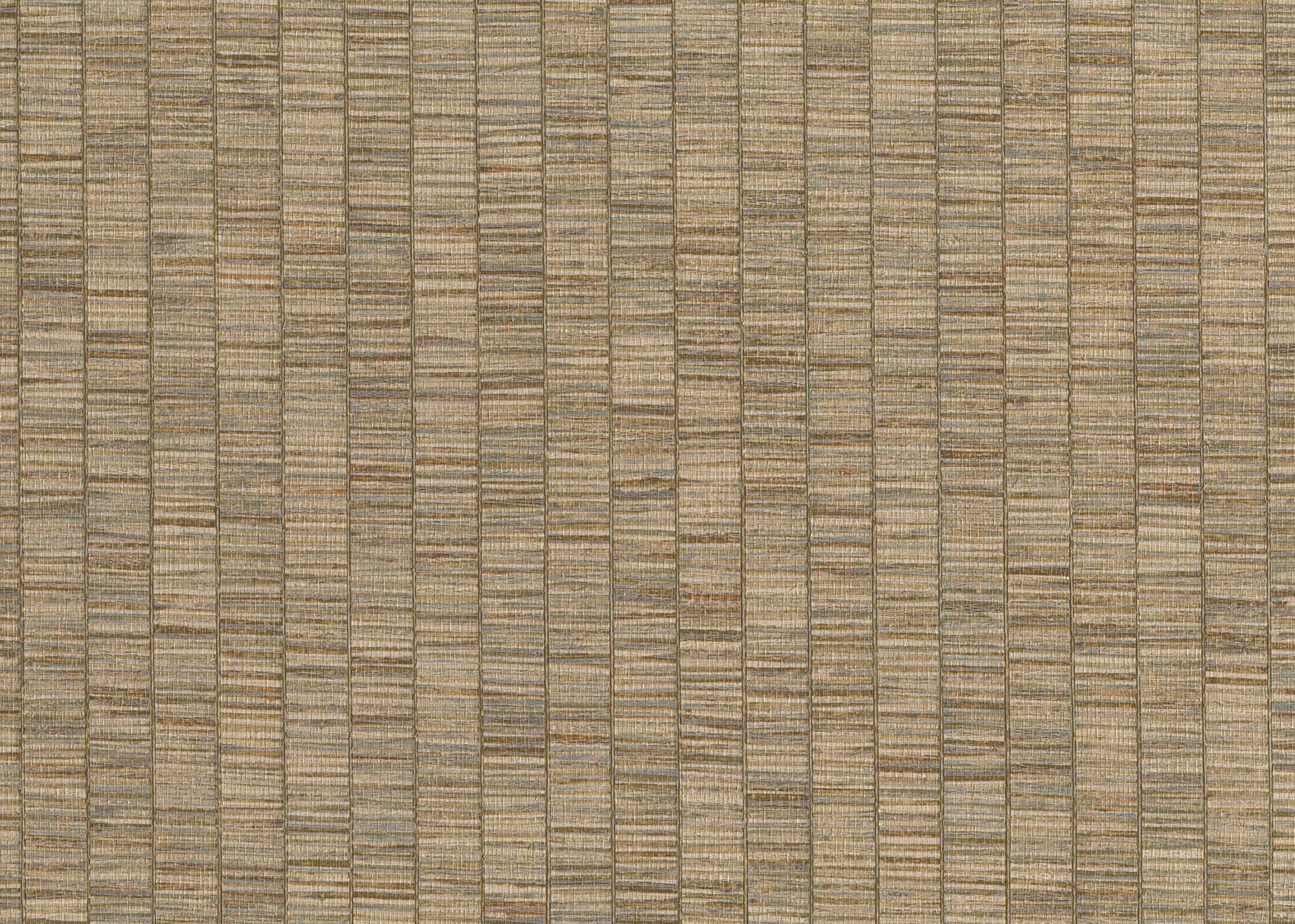 Hooked on Walls Passe Partout 2024 Unito Ribbon Grass 89799