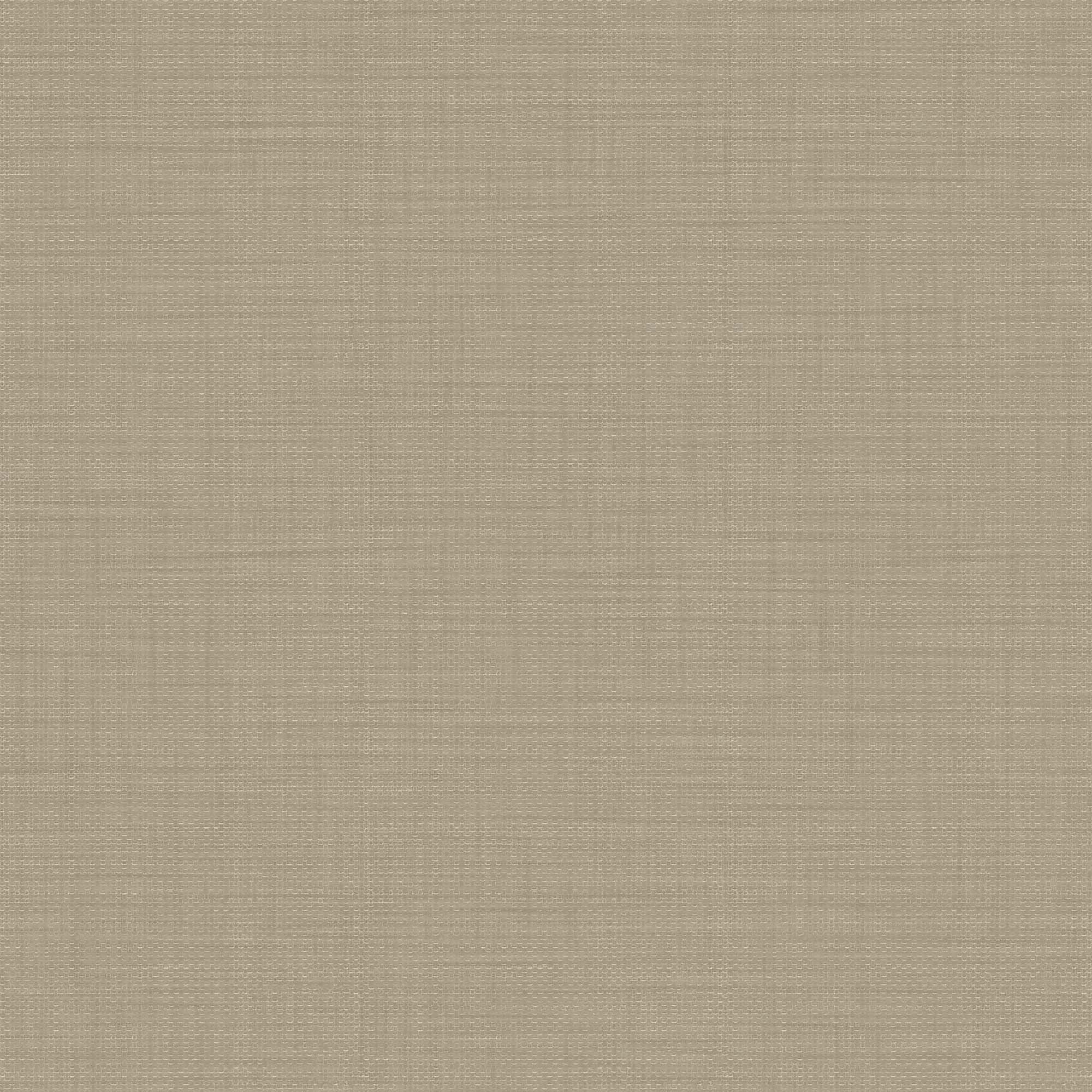 Hooked on Walls Passe Partout 2024 Unito Telamare 89801