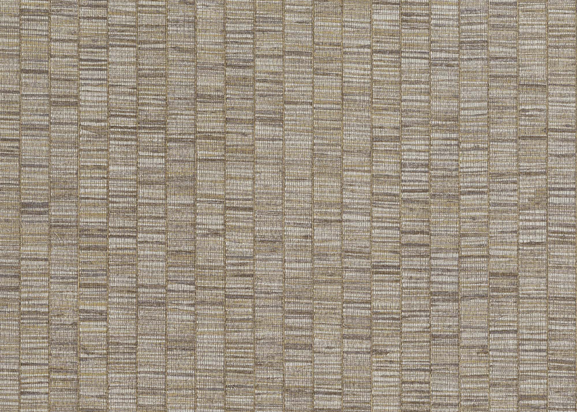 Hooked on Walls Passe Partout 2024 Unito Ribbon Grass 89812