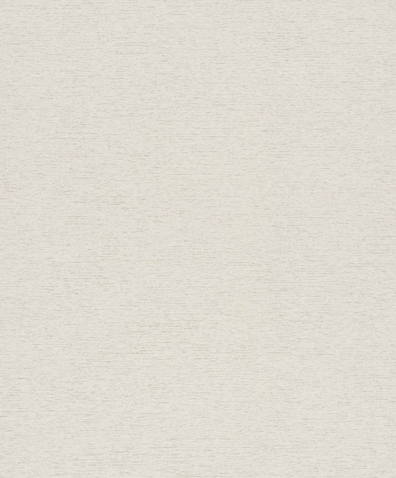 Hooked on Walls Passe Partout 2025 Travertino 4411