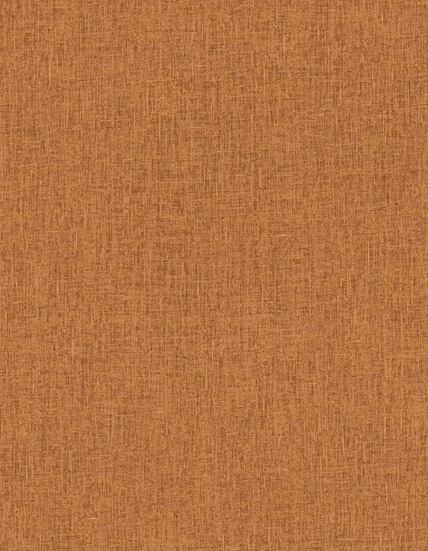 Hooked on Walls Passe Partout 2025 Unito 4467