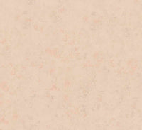 Hooked on Walls Passe Partout 2025 - 4468