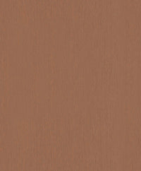 Hooked on Walls Passe Partout 2025 - 4476