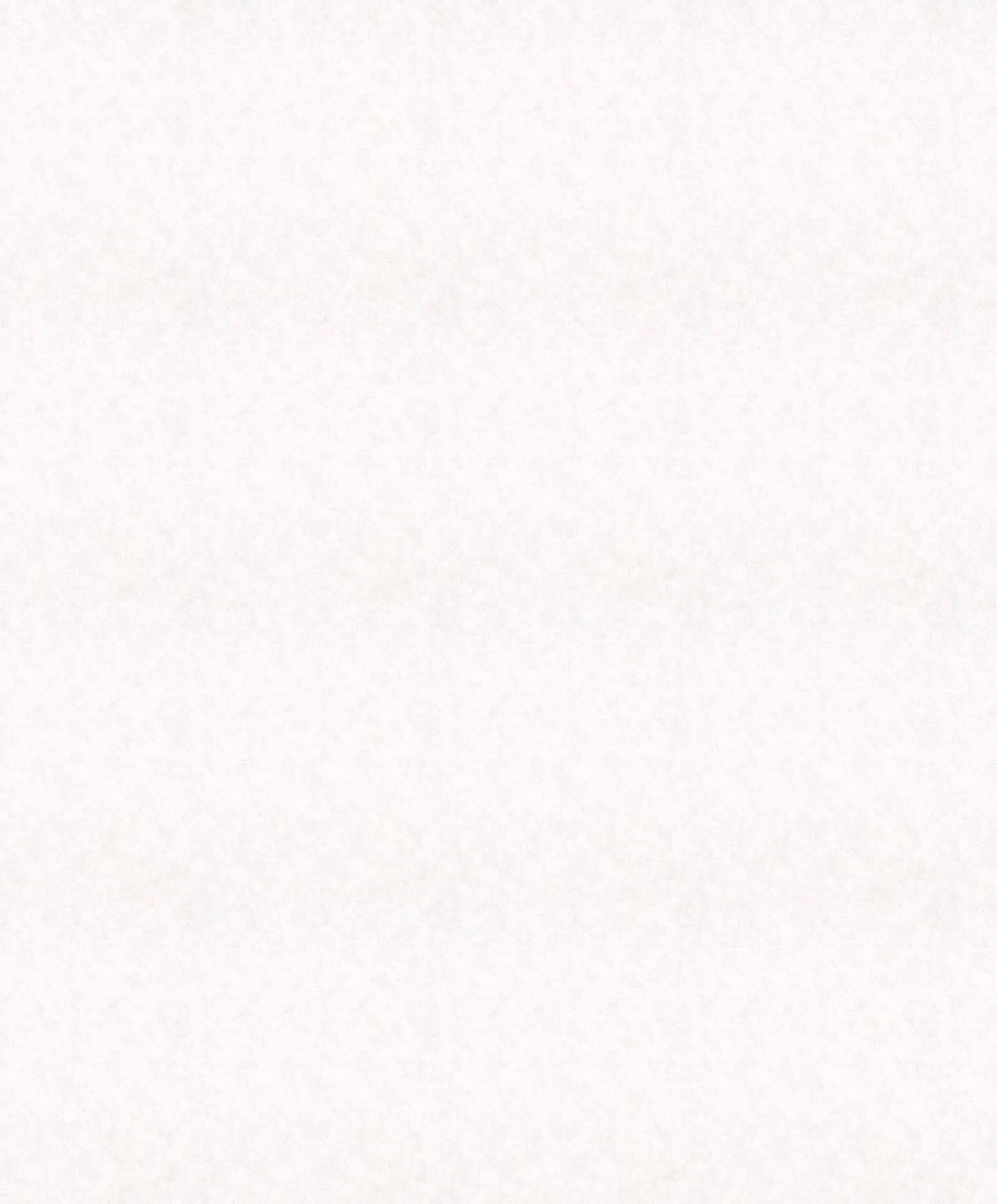 Hooked on Walls Passe Partout 2025 Shades 4506/ 86589 - 2 rollen beschikbaar - OUTLET