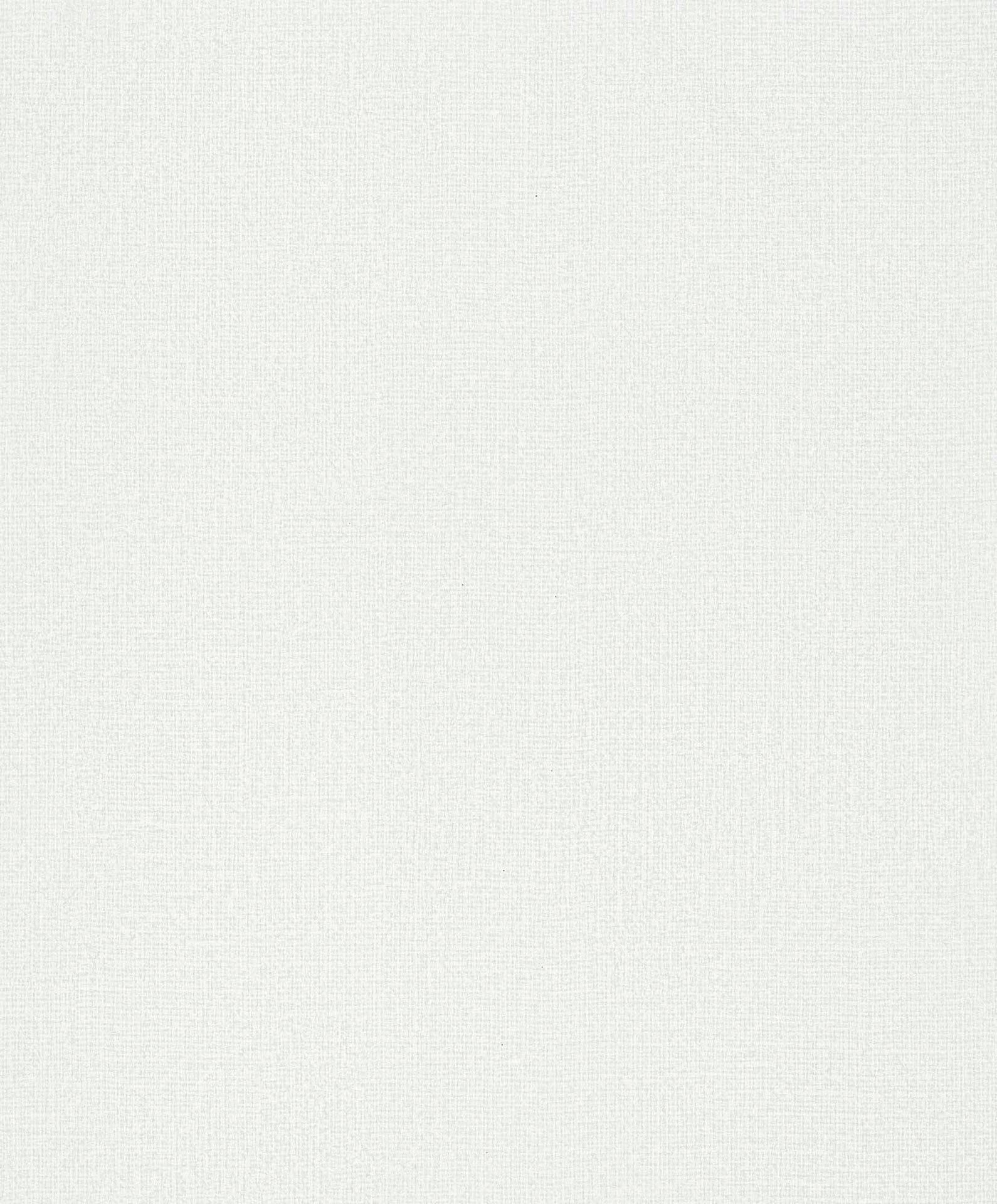 Hooked on Walls Passe Partout 2025 Loft Sup 4509