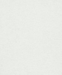 Hooked on Walls Passe Partout 2025 Travertino 4511