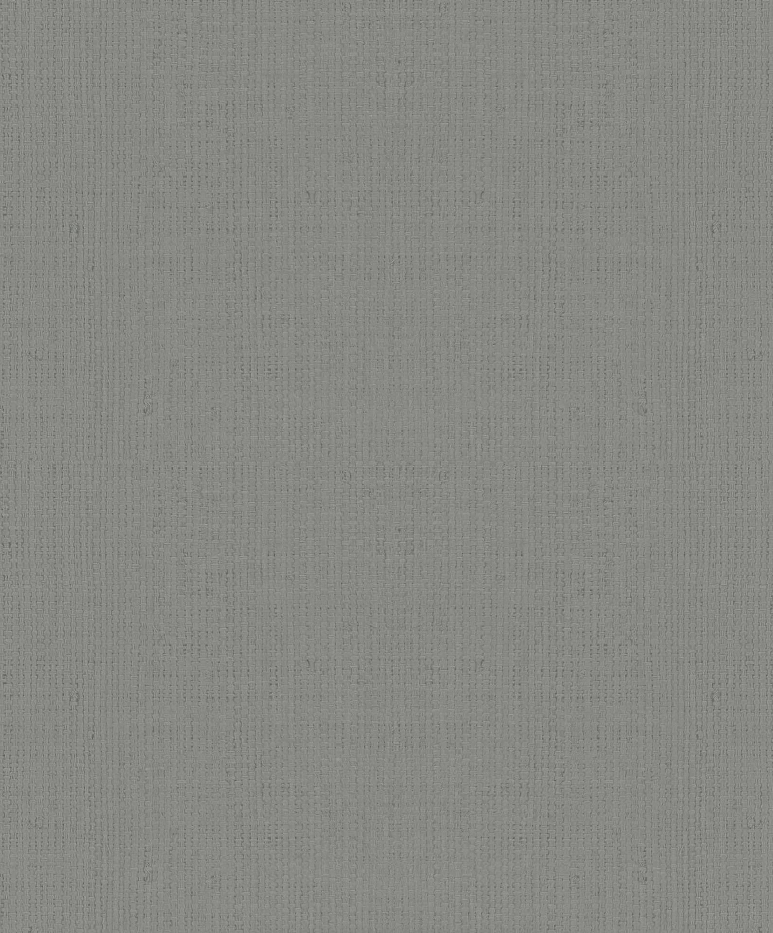 Hooked on Walls Passe Partout 2025 - 4528