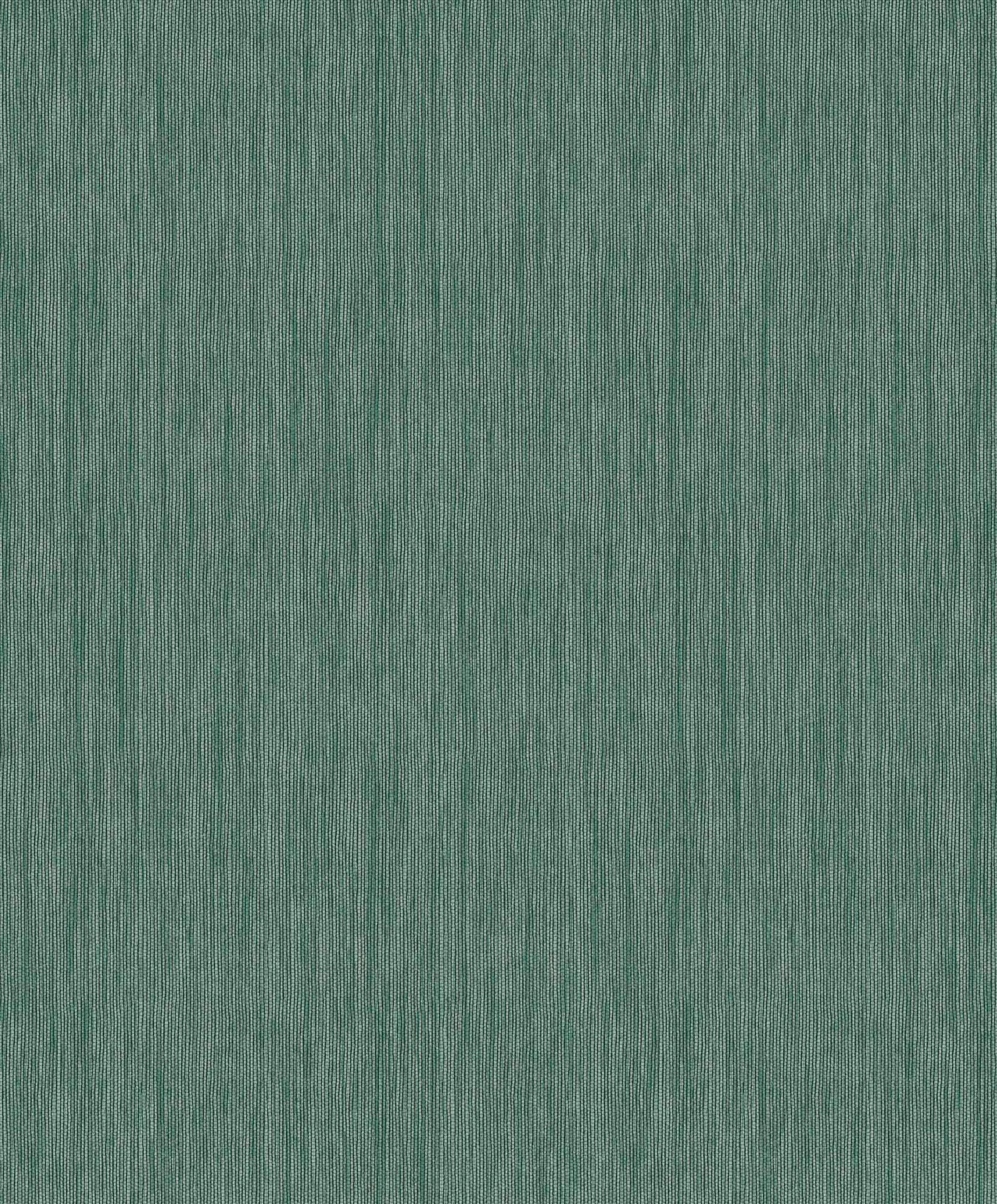 Hooked on Walls Passe Partout 2025 Rafia 4557