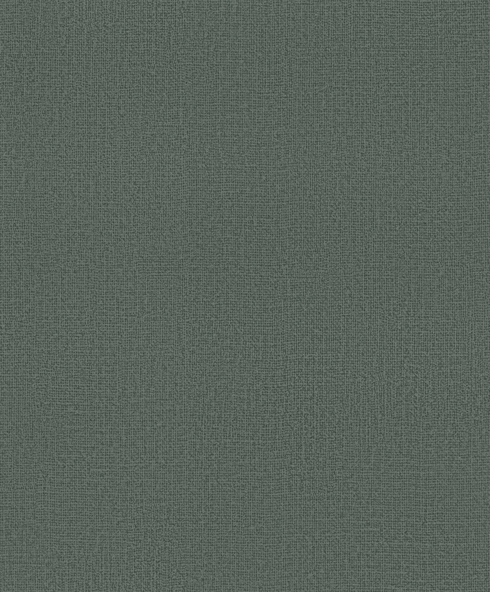 Hooked on Walls Passe Partout 2025 Loft Sup 4561