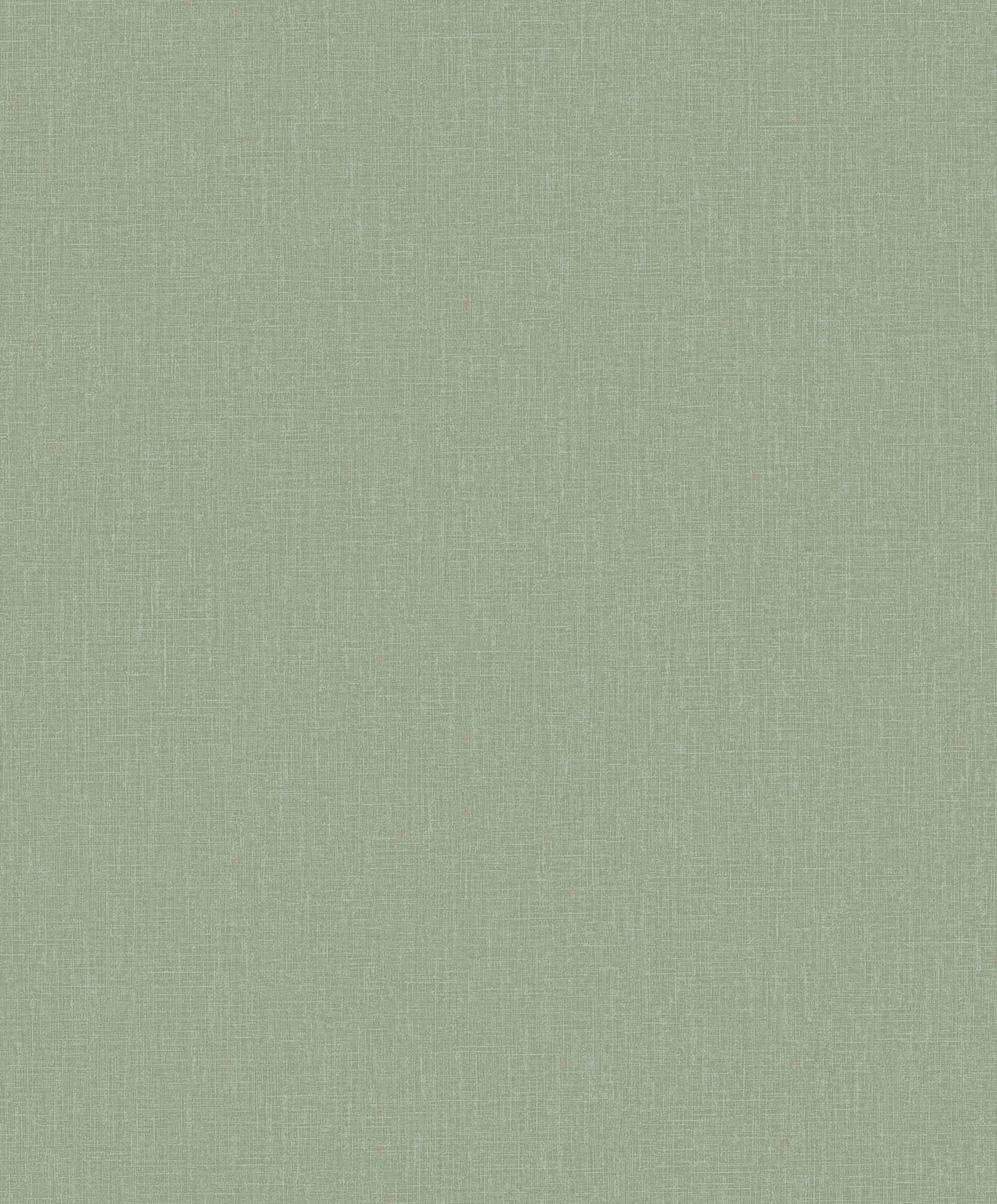 Hooked on Walls Passe Partout 2025 Plain 4565