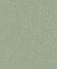 Hooked on Walls Passe Partout 2025 Plain 4565