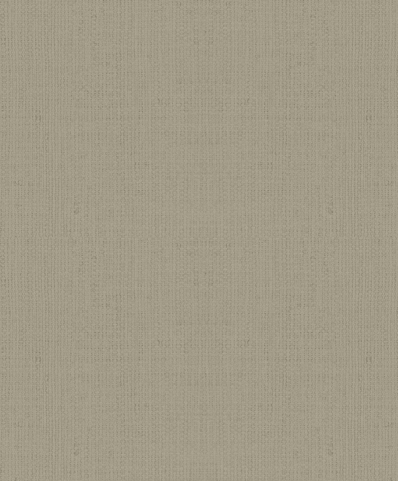 Hooked on Walls Passe Partout 2025 - 4572