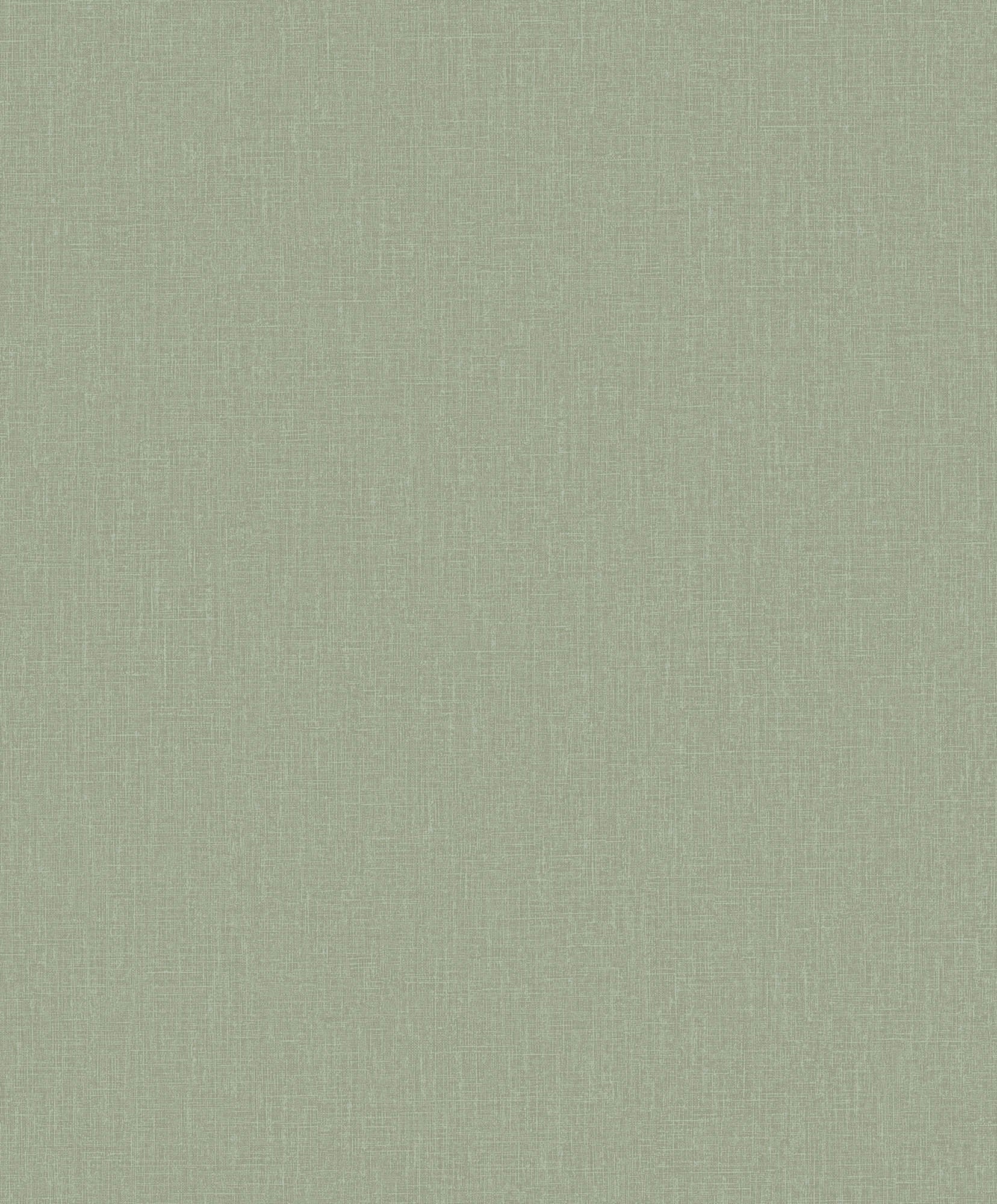 Hooked on Walls Passe Partout 2026 Color Vibes Plain 29804