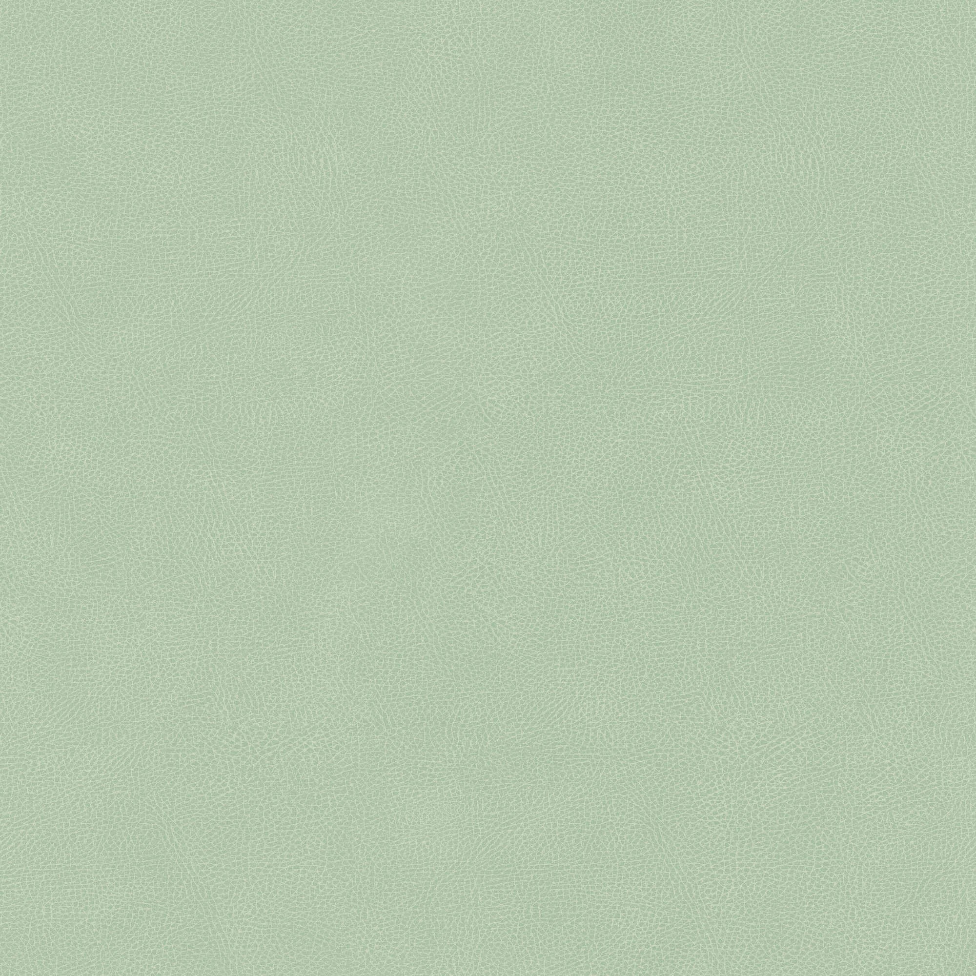 Hooked on Walls Passe Partout 2026 Color Vibes Pelle 29805