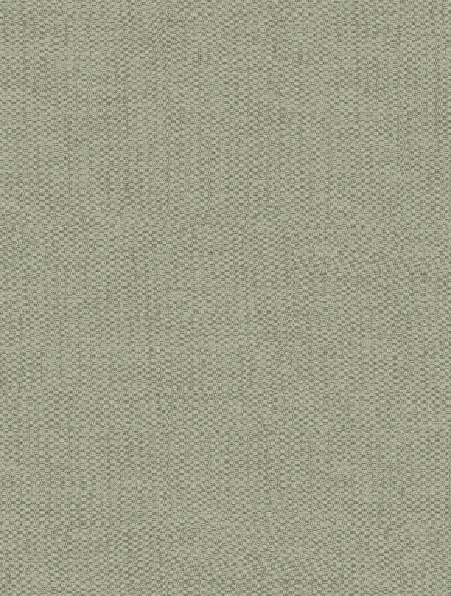 Hooked on Walls Passe Partout 2026 Color Vibes 29807