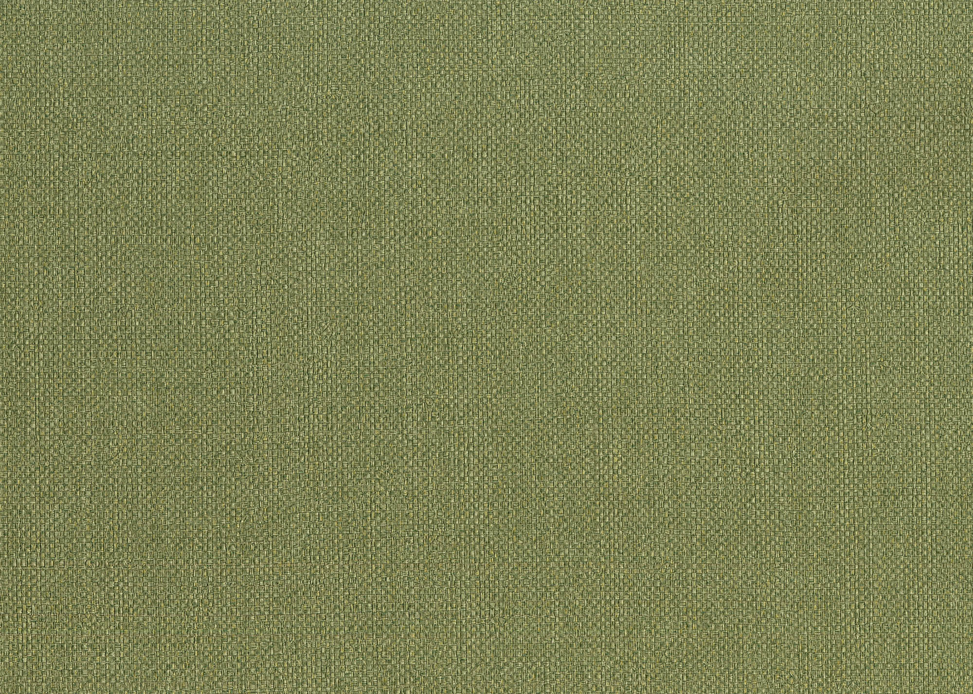 Hooked on Walls Passe Partout 2026 Color Vibes Baobab 29809