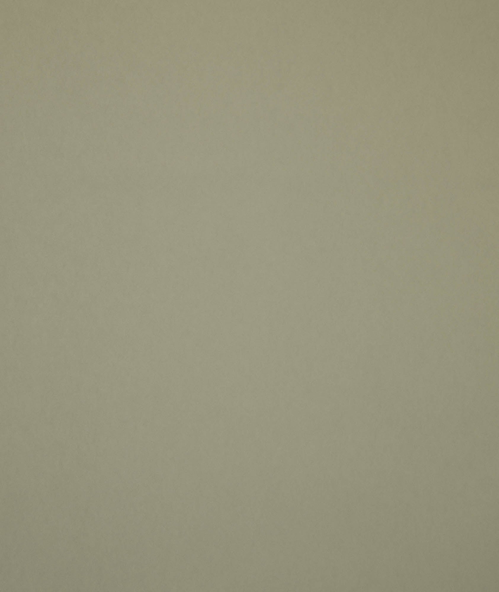 Hooked on Walls Passe Partout 2026 Color Vibes Muro 29813
