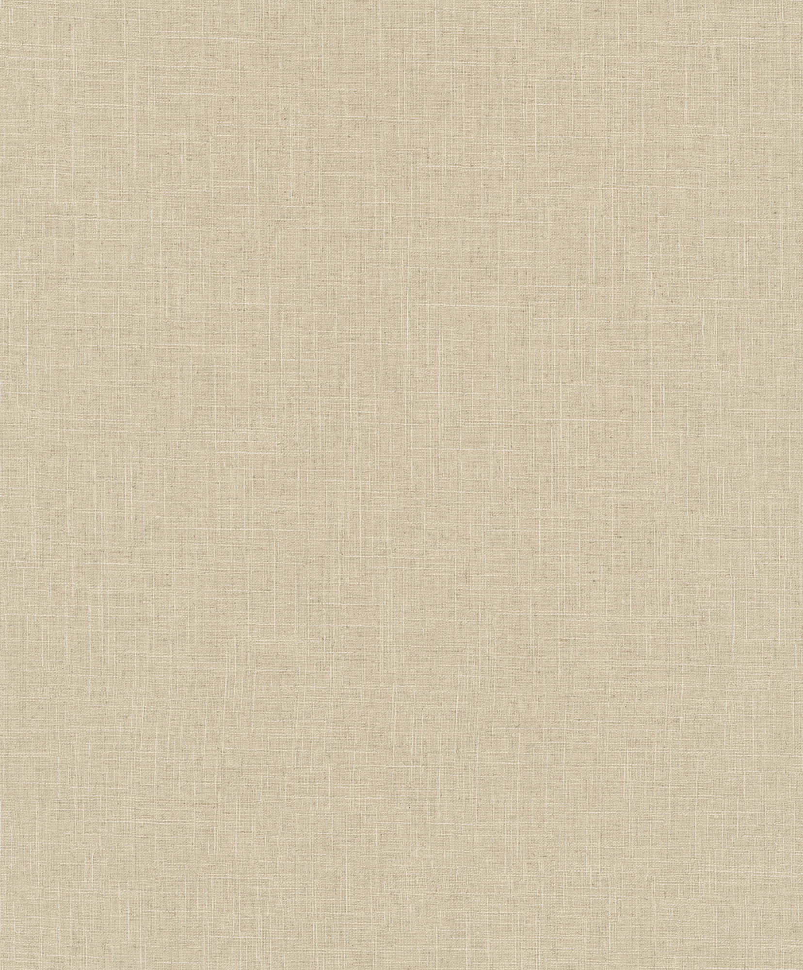 Hooked on Walls Passe Partout 2026 Color Vibes Uni 29819