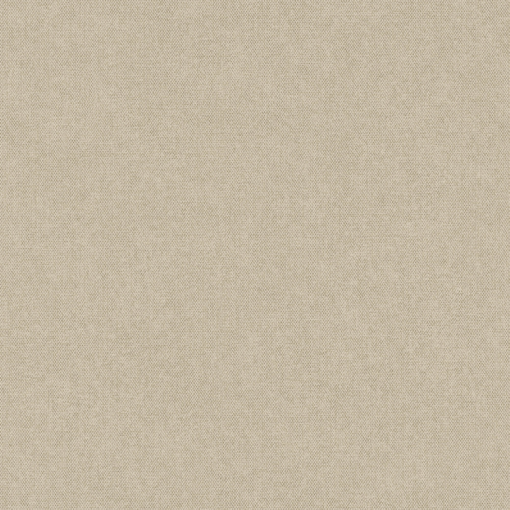 Hooked on Walls Passe Partout 2026 Color Vibes Lova 29826