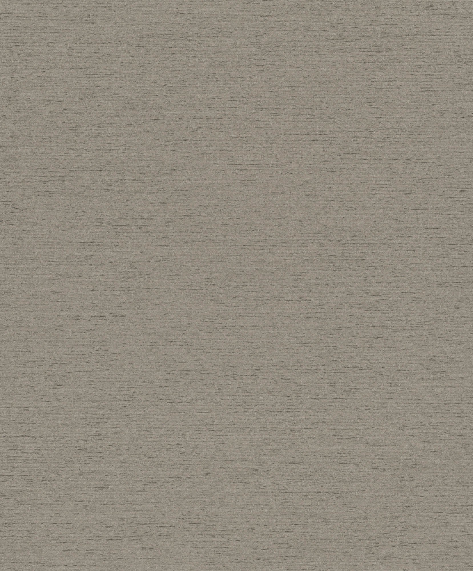 Hooked on Walls Passe Partout 2026 Color Vibes Travertino 29840