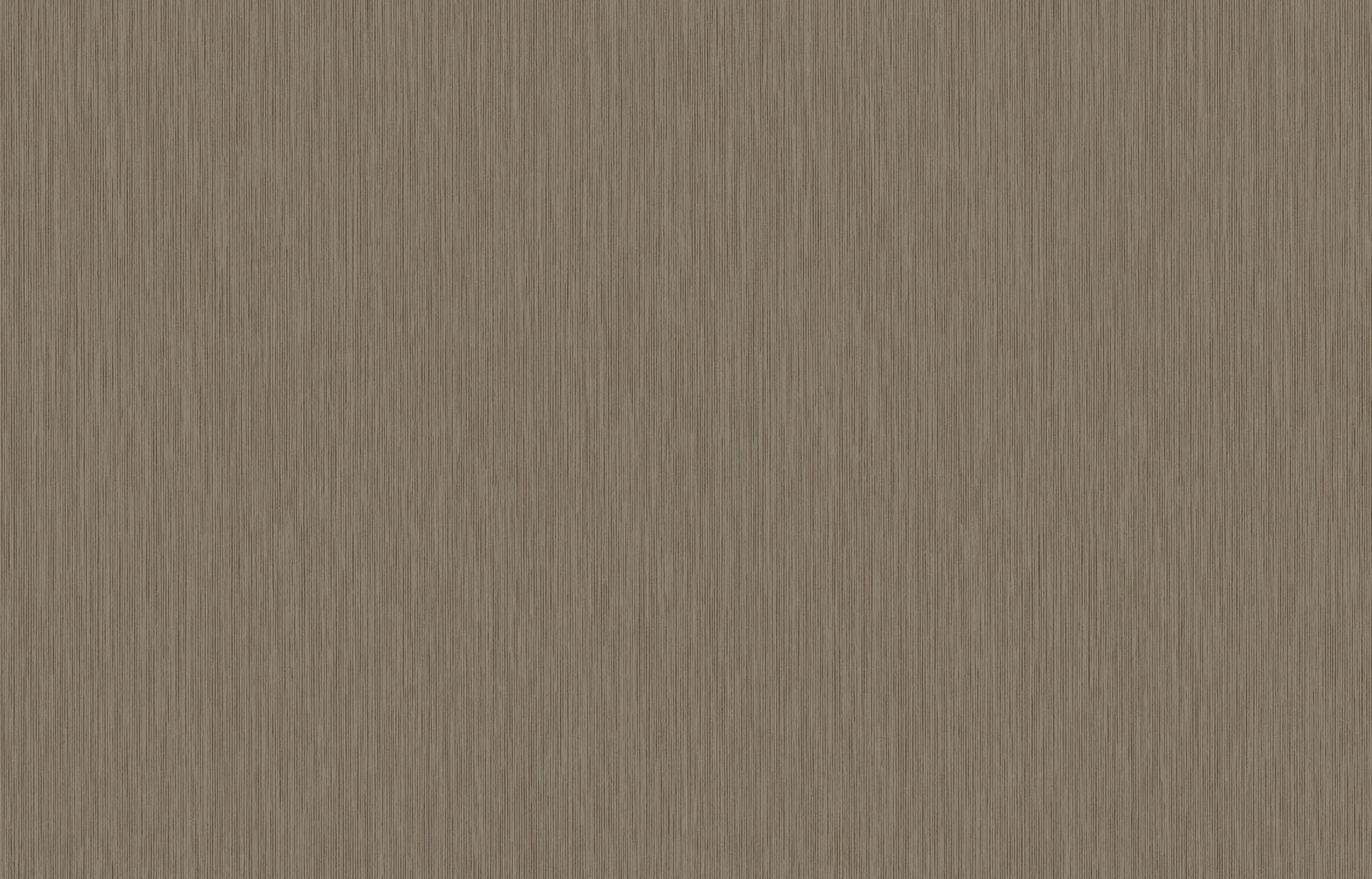 Hooked on Walls Passe Partout 2026 Color Vibes Yucca Plain 29841