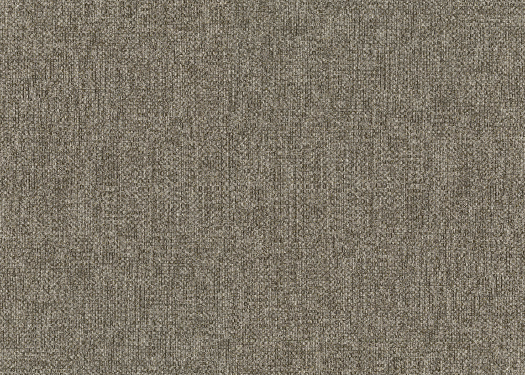 Hooked on Walls Passe Partout 2026 Color Vibes Baobab 29842