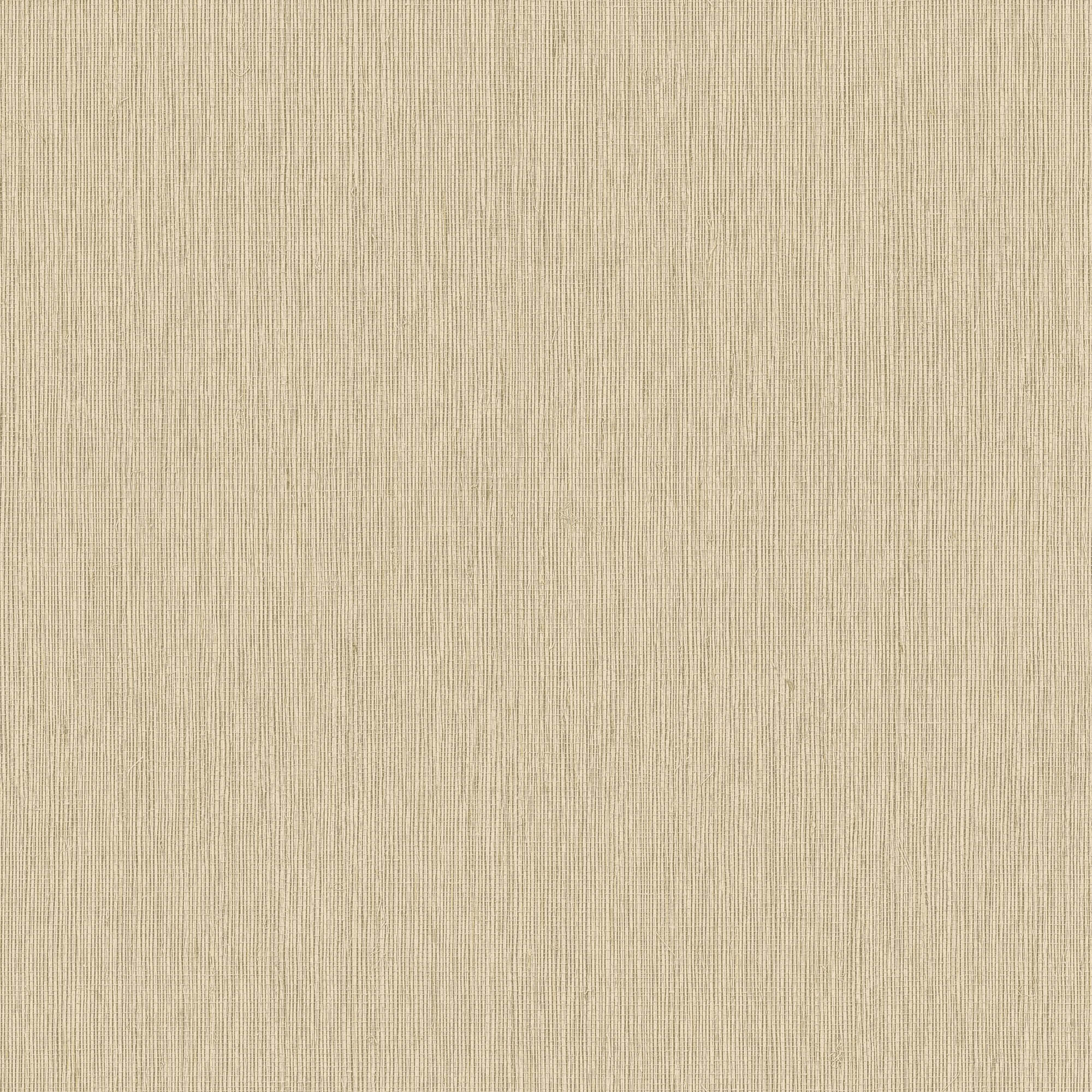 Hooked on Walls Passe Partout 2026 Color Vibes Filo 29869