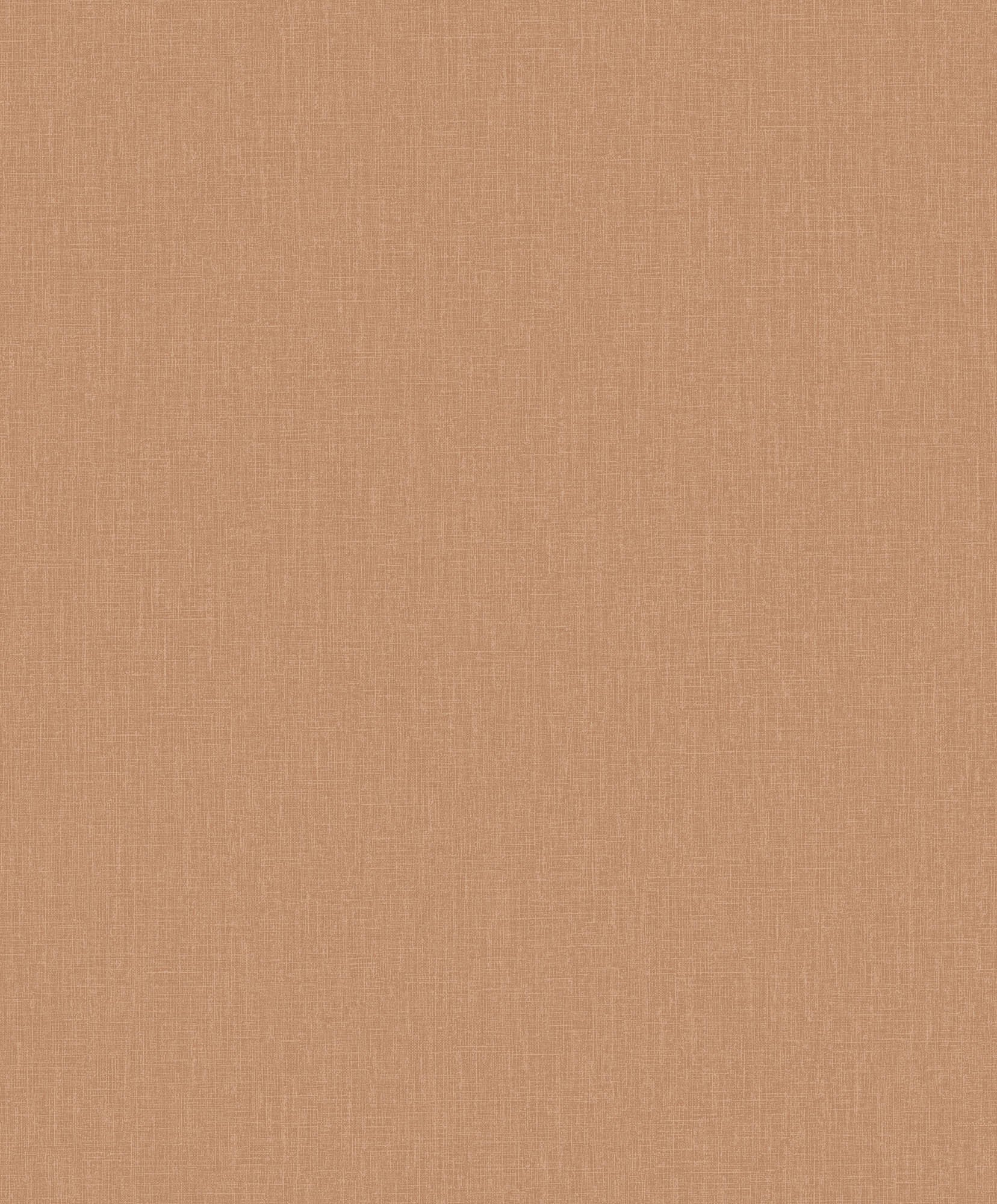 Hooked on Walls Passe Partout 2026 Color Vibes Plain 29871