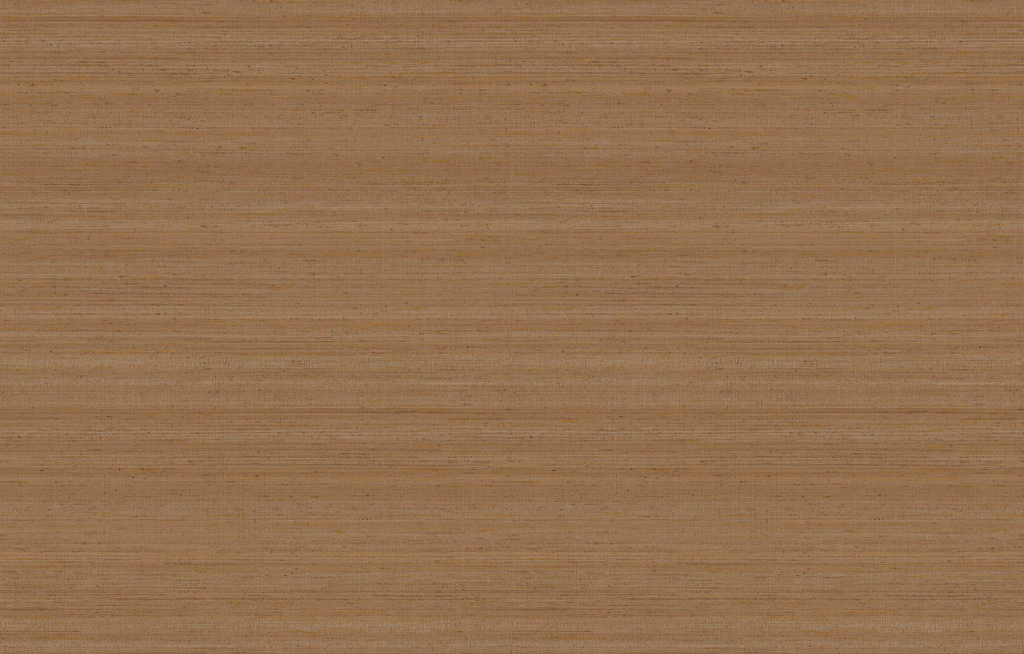 Hooked on Walls Passe Partout 2026 Color Vibes Uni Soie Tropical 29875