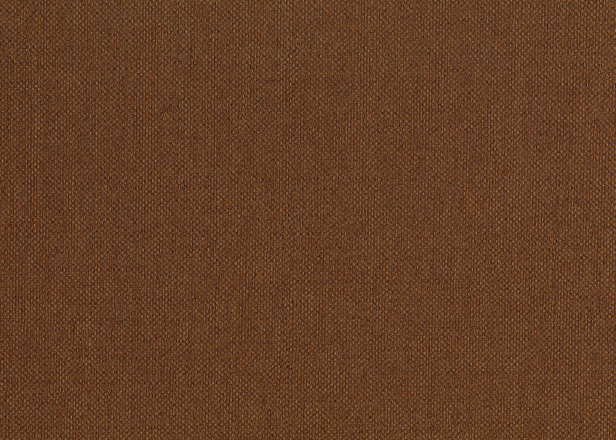 Hooked on Walls Passe Partout 2026 Color Vibes Baobab 29880