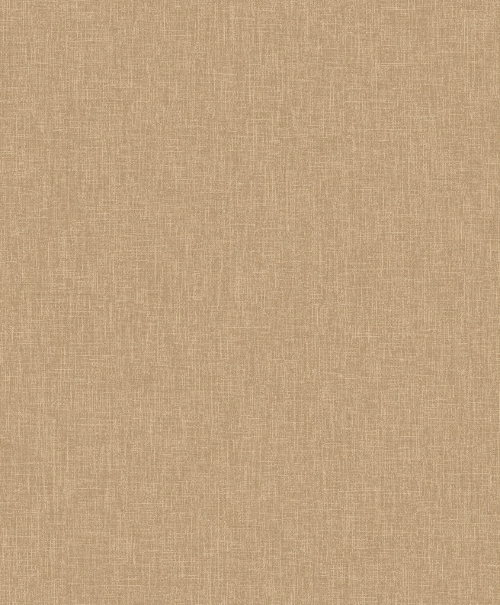 Hooked on Walls Passe Partout 2026 Color Vibes Plain 29886