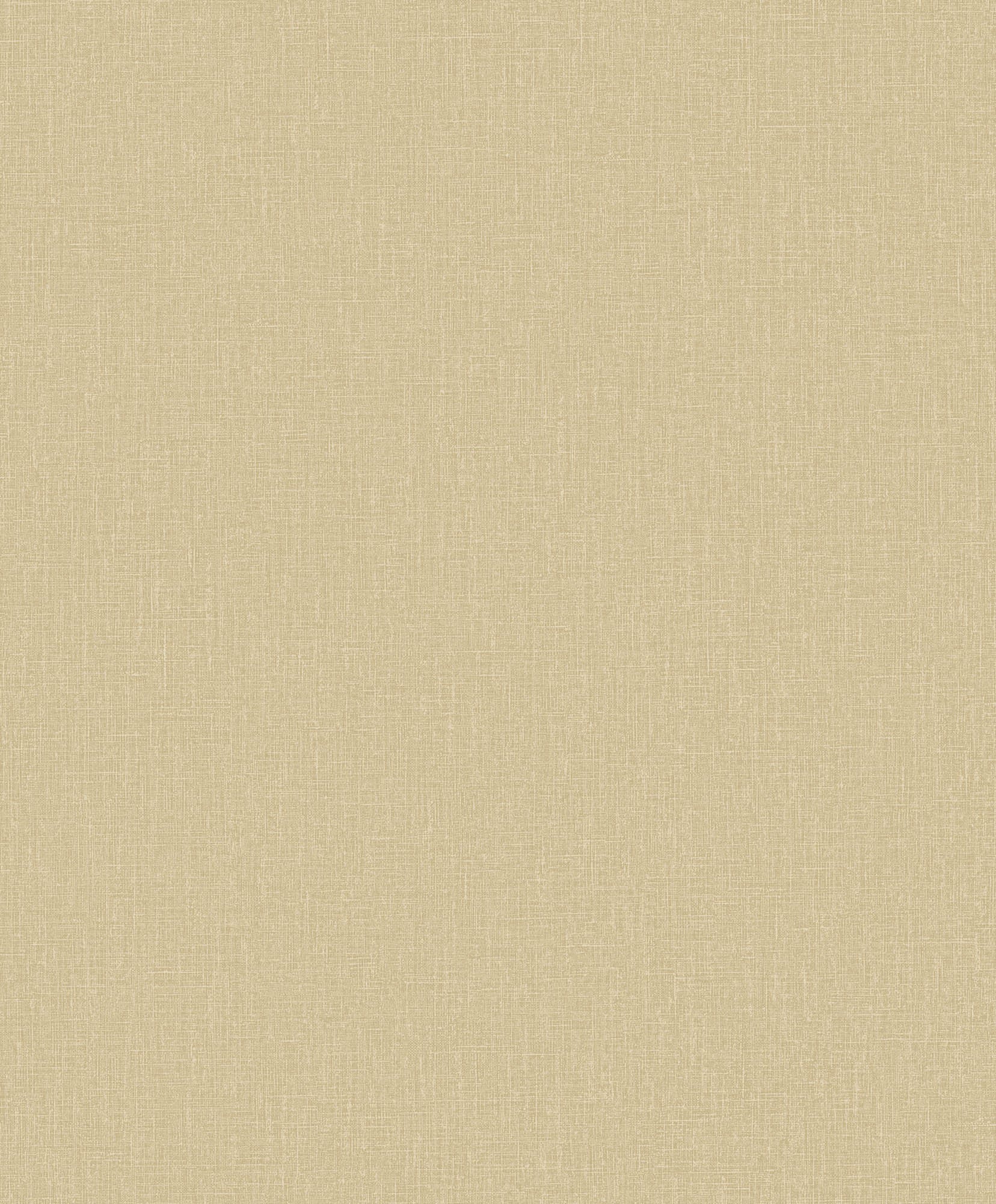 Hooked on Walls Passe Partout 2026 Color Vibes Plain 29896