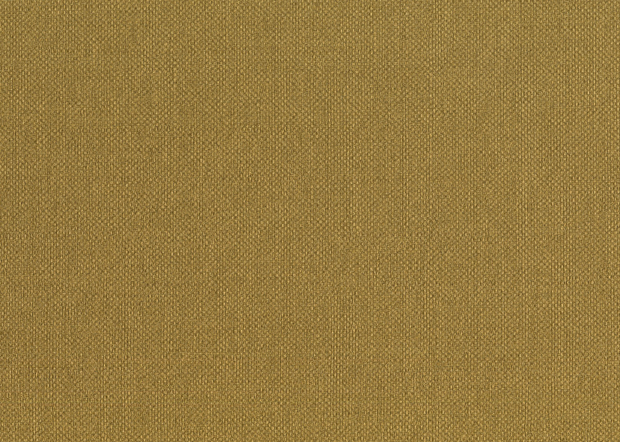 Hooked on Walls Passe Partout 2026 Color Vibes Baobab 29902
