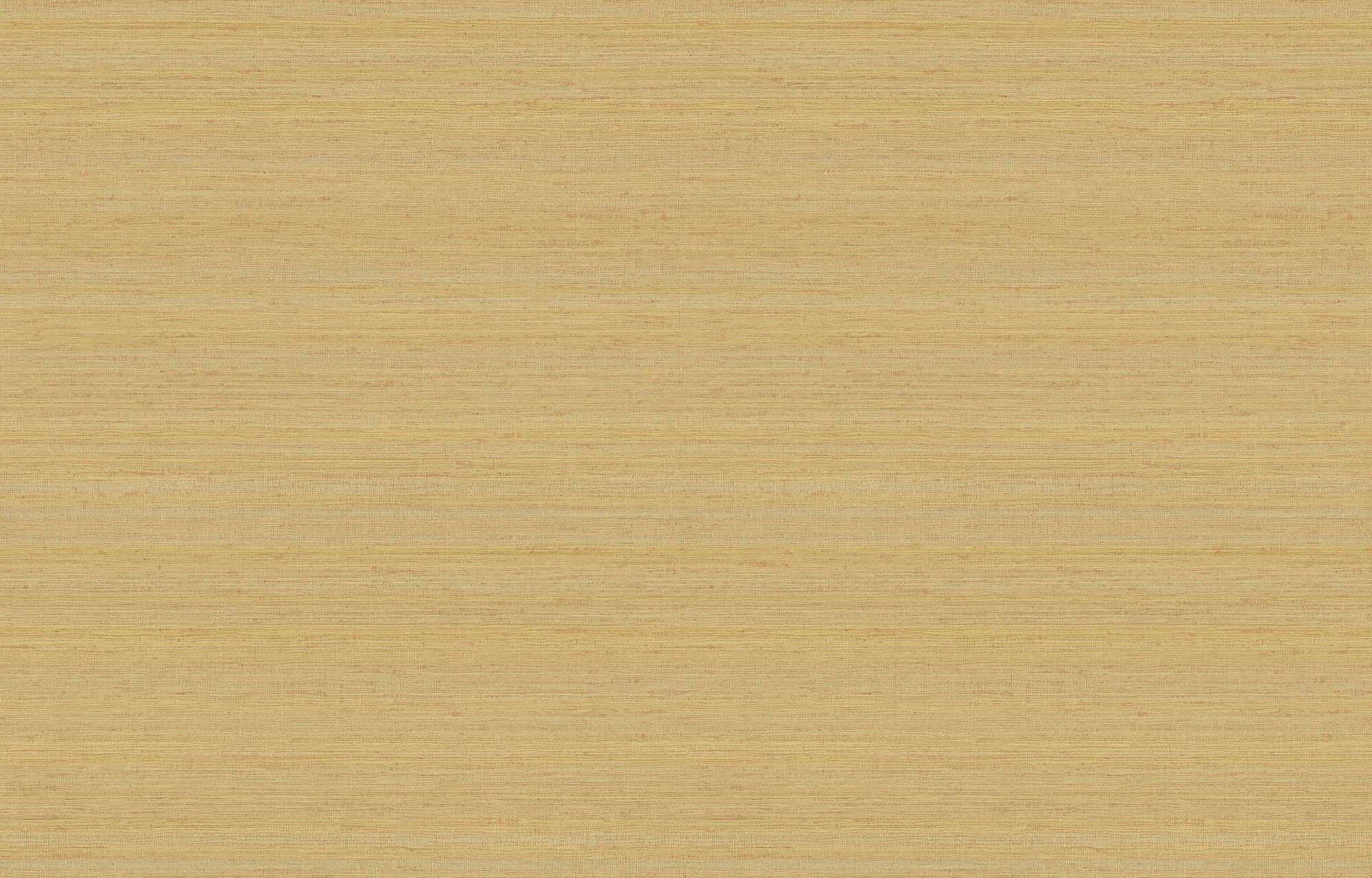 Hooked on Walls Passe Partout 2026 Color Vibes Uni Soie Tropical 29903