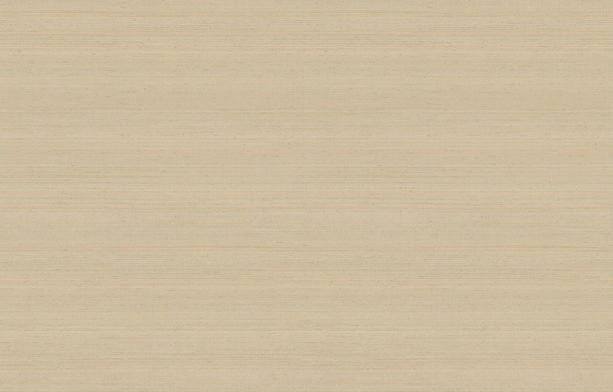 Hooked on Walls Passe Partout 2026 Color Vibes Uni Soie Tropical 29906