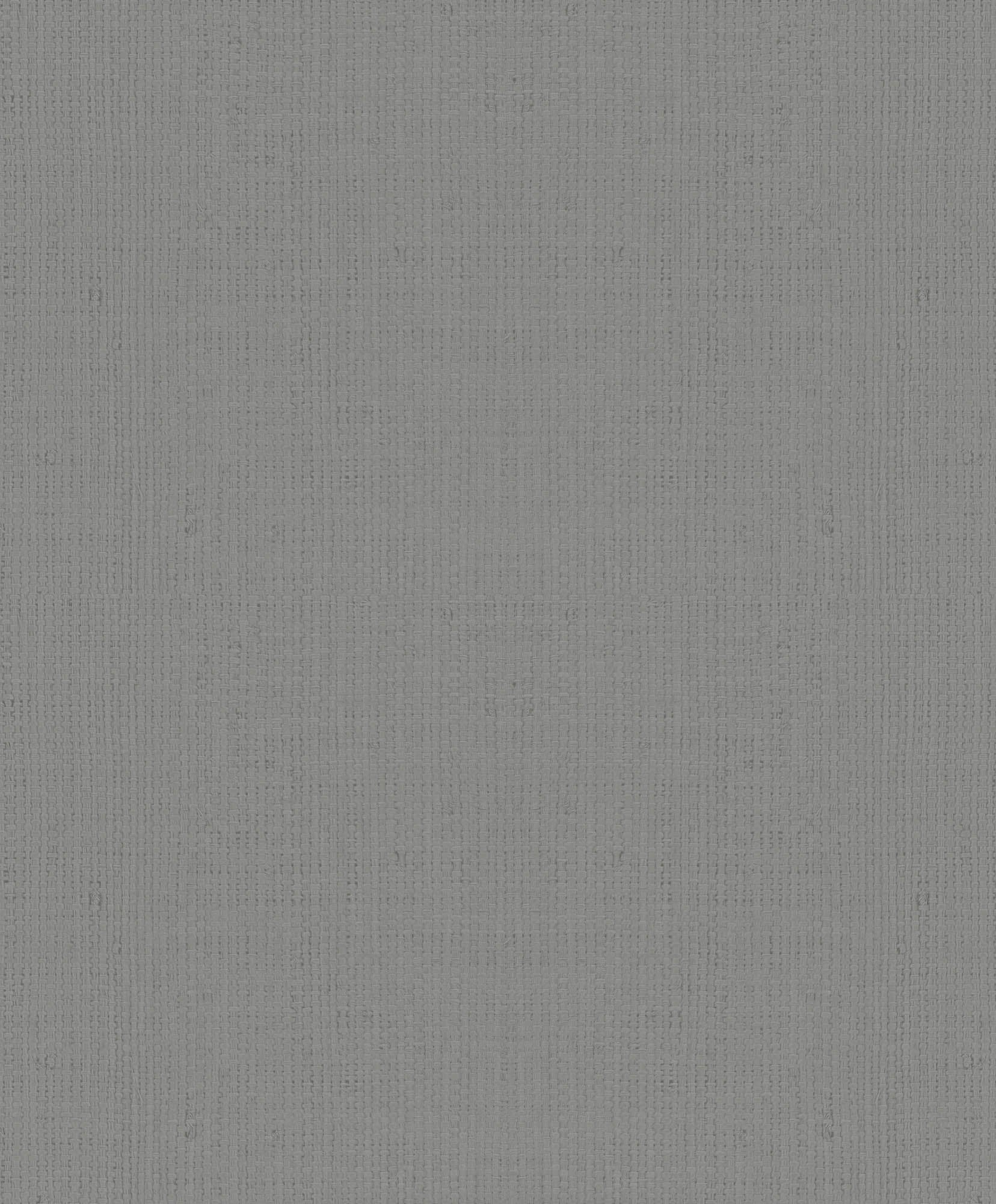 Hooked on Walls Passe Partout 2026 Color Vibes 29915