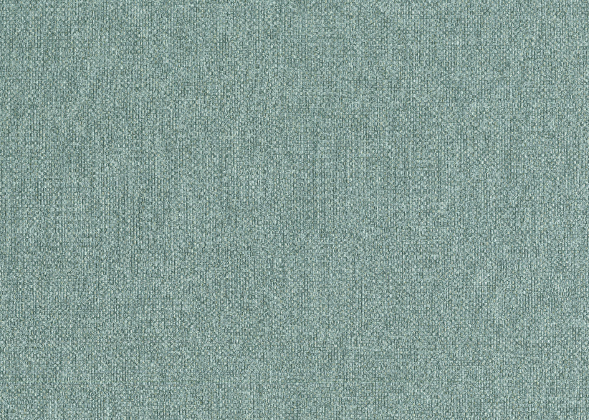 Hooked on Walls Passe Partout 2026 Color Vibes Baobab 29937