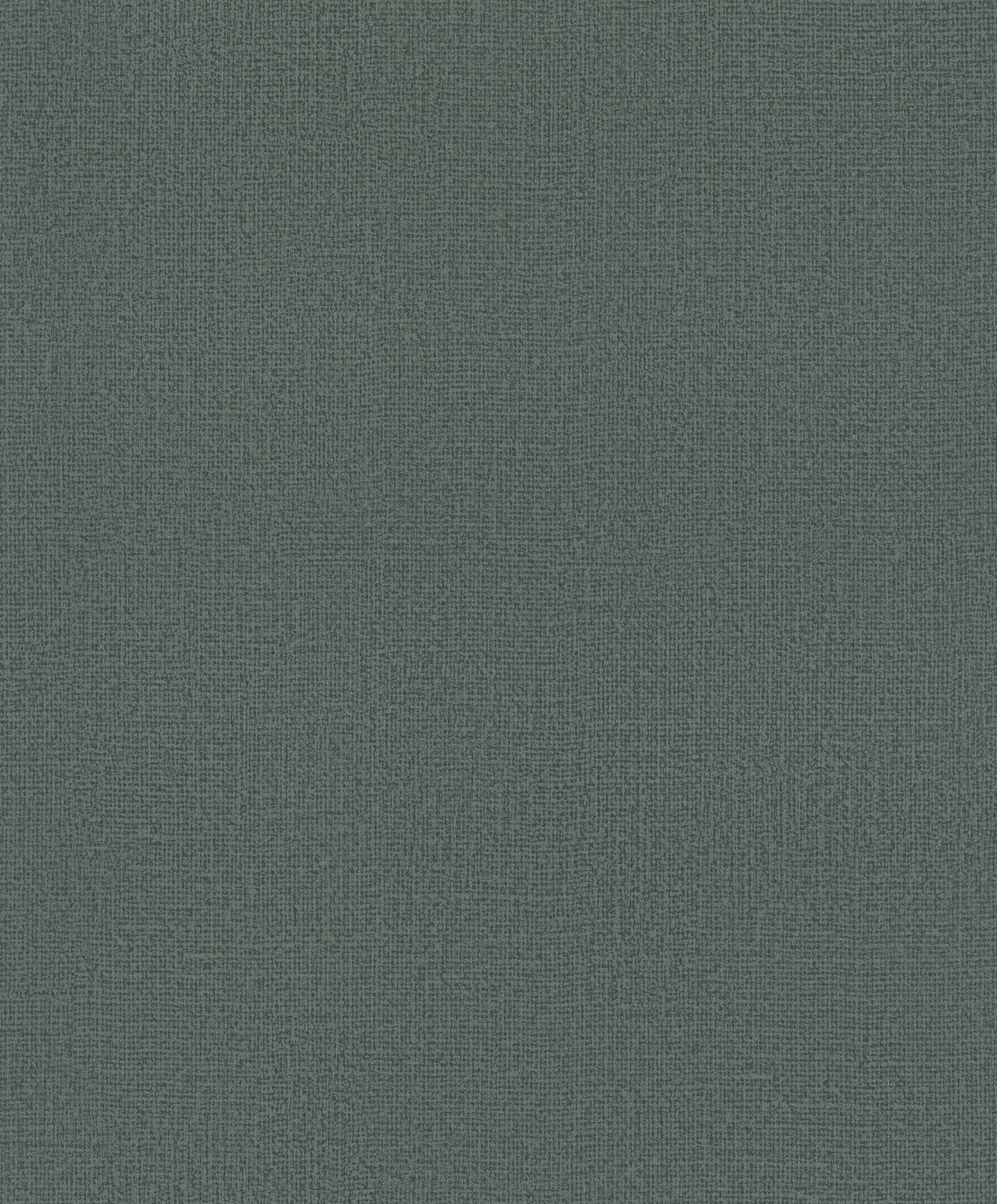 Hooked on Walls Passe Partout 2026 Color Vibes Loft Sup 29944