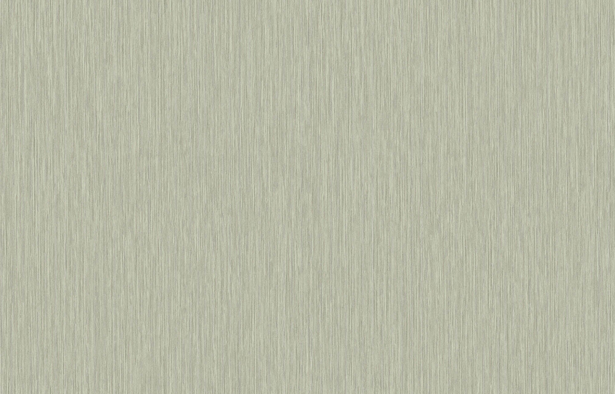 Hooked on Walls Passe Partout 2026 Color Vibes Yucca Plain 29949