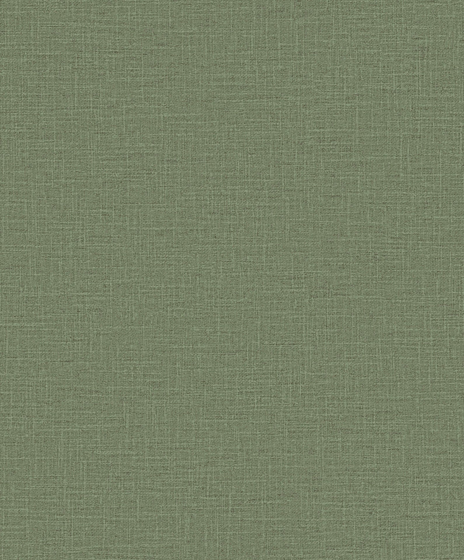 Hooked on Walls Promenade Dune 20218