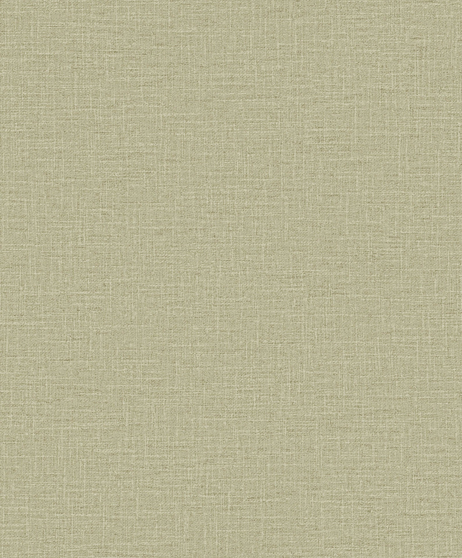 Hooked on Walls Promenade Dune 20219