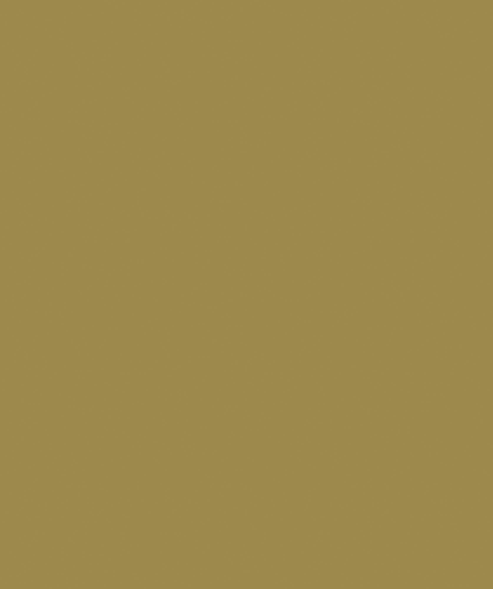 Hooked on Walls Young Traditionals Muro 27855