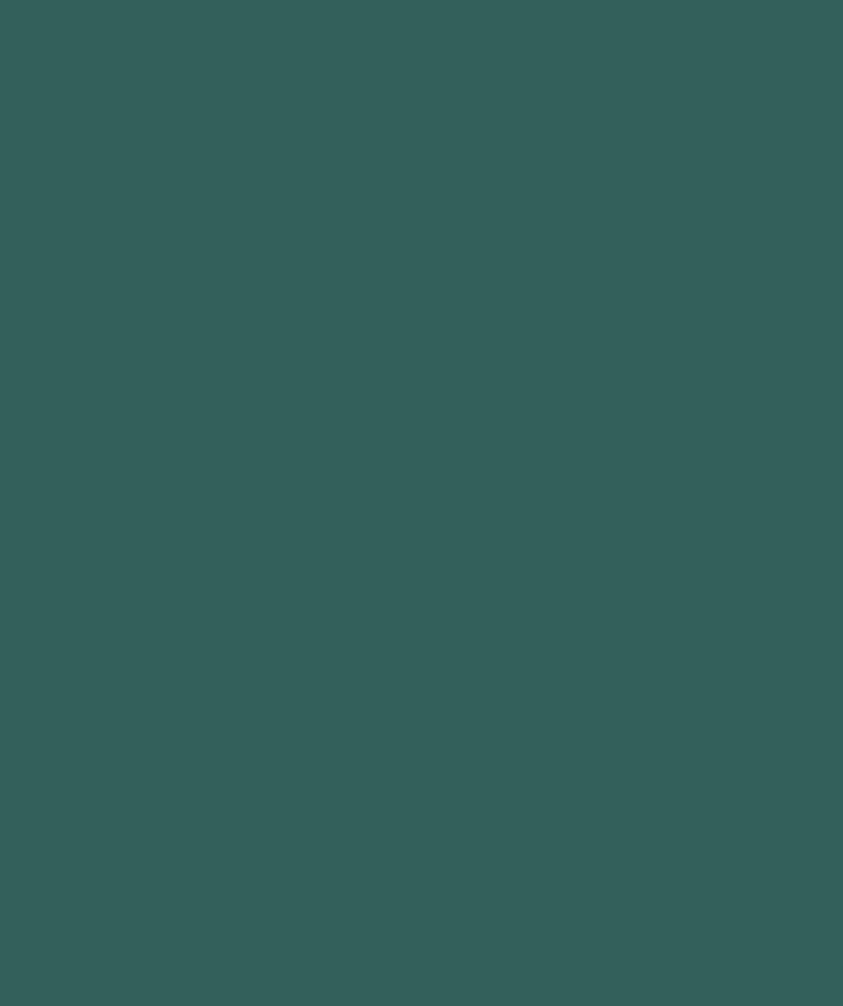 Hooked on Walls Young Traditionals Muro 27857