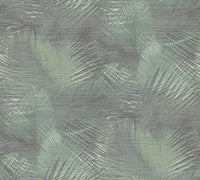 Arte Avalon Shield 31550