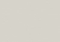 Arte Birds Of Paradise Silky BOP304