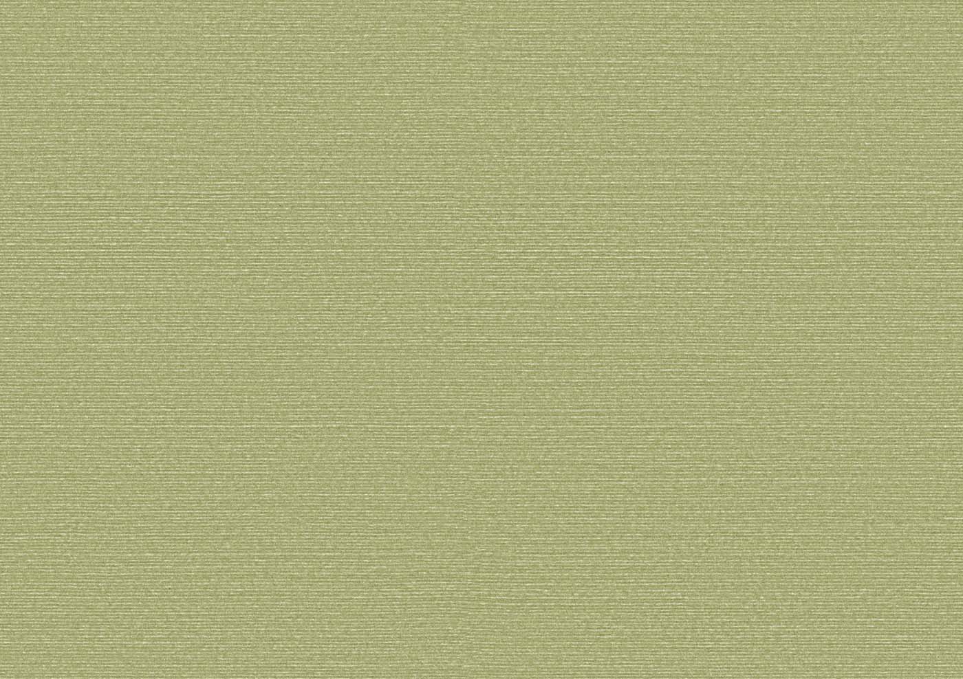 Arte Birds Of Paradise Silky BOP317 Behang